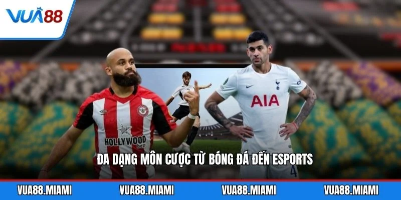 Thể Thao 5 Đa dạng môn cược từ bóng đá đến esports