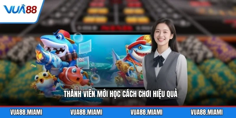 Thành viên mới học cách chơi hiệu quả
